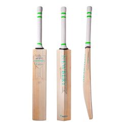 Newbery Kudos Player Cricket Bat 2024