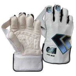 Gunn and Moore Aion 909 Wicket Keeping Gloves 2025